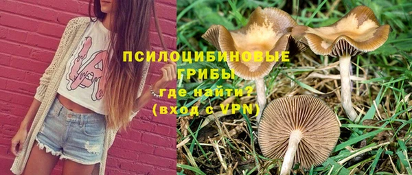 первитин Алексеевка