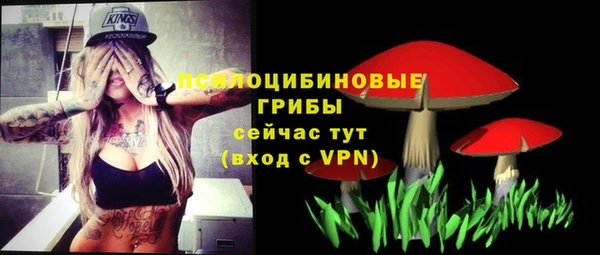 мяу мяу мука Майский