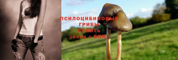 МДПВ Алзамай