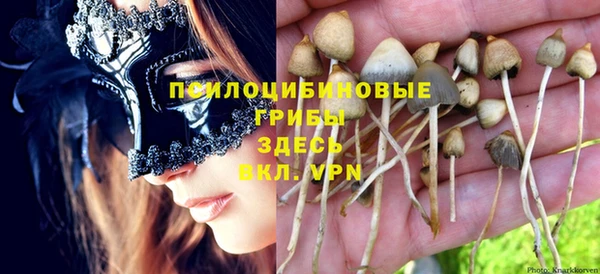 первитин Алексеевка